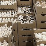Booker switches to cardboard for catering packs of mushrooms