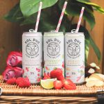 Aston Manor unveils Sol Duc range to appeal to health-conscious consumers
